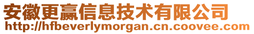 安徽更贏信息技術(shù)有限公司