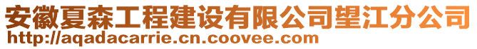 安徽夏森工程建設有限公司望江分公司