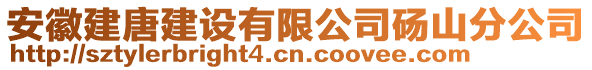 安徽建唐建設(shè)有限公司碭山分公司