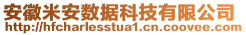 安徽米安數(shù)據(jù)科技有限公司