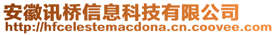 安徽訊橋信息科技有限公司