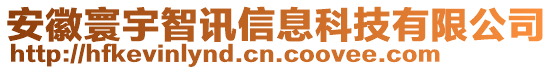 安徽寰宇智訊信息科技有限公司