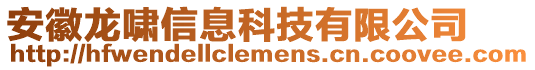 安徽龍嘯信息科技有限公司