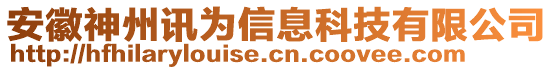 安徽神州訊為信息科技有限公司