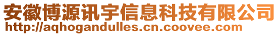 安徽博源訊宇信息科技有限公司