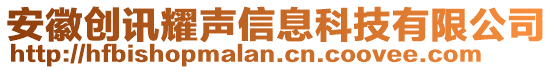 安徽創(chuàng)訊耀聲信息科技有限公司