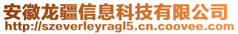 安徽龍疆信息科技有限公司