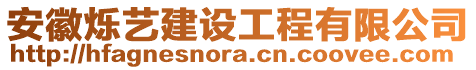 安徽爍藝建設工程有限公司