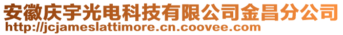 安徽慶宇光電科技有限公司金昌分公司