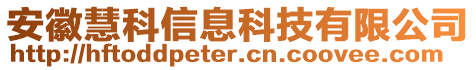 安徽慧科信息科技有限公司