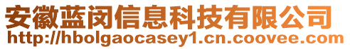 安徽藍(lán)閔信息科技有限公司