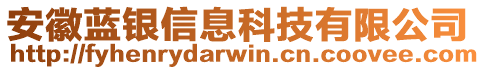 安徽藍(lán)銀信息科技有限公司