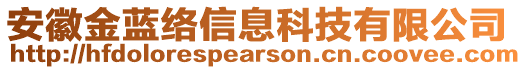 安徽金藍(lán)絡(luò)信息科技有限公司