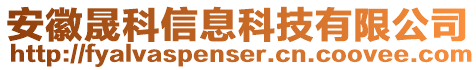安徽晟科信息科技有限公司