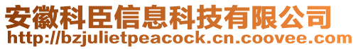 安徽科臣信息科技有限公司