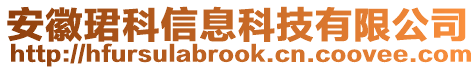 安徽珺科信息科技有限公司