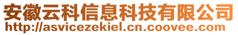 安徽云科信息科技有限公司