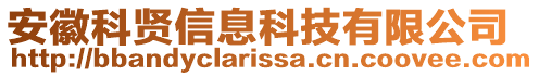 安徽科賢信息科技有限公司