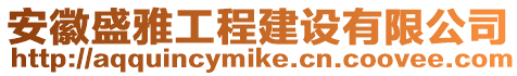 安徽盛雅工程建設(shè)有限公司