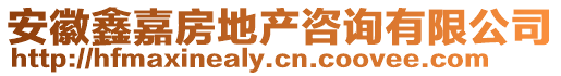 安徽鑫嘉房地產(chǎn)咨詢有限公司