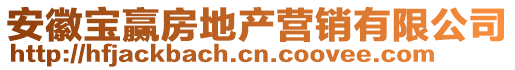 安徽寶贏房地產(chǎn)營(yíng)銷(xiāo)有限公司