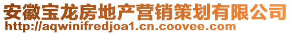 安徽寶龍房地產(chǎn)營(yíng)銷策劃有限公司