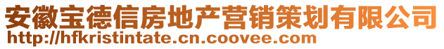 安徽寶德信房地產(chǎn)營銷策劃有限公司