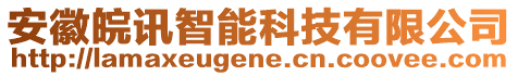 安徽皖訊智能科技有限公司