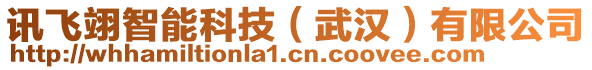 訊飛翊智能科技（武漢）有限公司