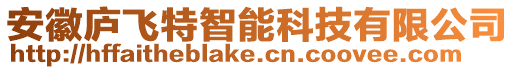 安徽廬飛特智能科技有限公司