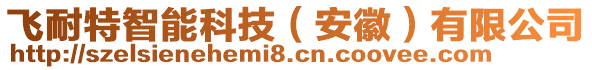 飛耐特智能科技（安徽）有限公司