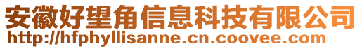 安徽好望角信息科技有限公司