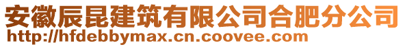 安徽辰昆建筑有限公司合肥分公司
