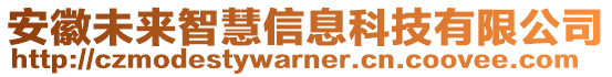 安徽未來智慧信息科技有限公司