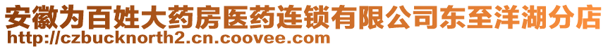 安徽為百姓大藥房醫(yī)藥連鎖有限公司東至洋湖分店