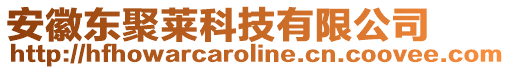 安徽東聚萊科技有限公司