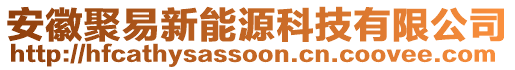 安徽聚易新能源科技有限公司