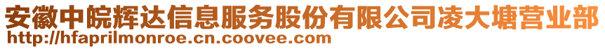 安徽中皖輝達(dá)信息服務(wù)股份有限公司凌大塘營(yíng)業(yè)部