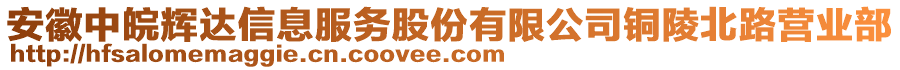 安徽中皖輝達信息服務股份有限公司銅陵北路營業(yè)部