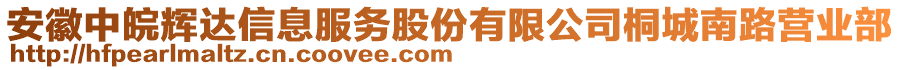 安徽中皖輝達信息服務股份有限公司桐城南路營業部