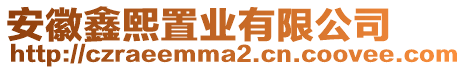 安徽鑫熙置業(yè)有限公司