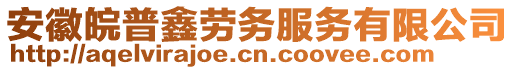 安徽皖普鑫勞務(wù)服務(wù)有限公司