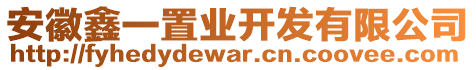 安徽鑫一置業(yè)開發(fā)有限公司