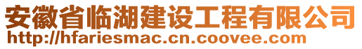 安徽省臨湖建設工程有限公司