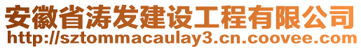 安徽省濤發建設工程有限公司