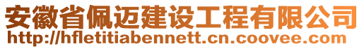 安徽省佩邁建設(shè)工程有限公司