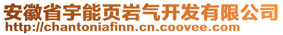 安徽省宇能頁巖氣開發(fā)有限公司