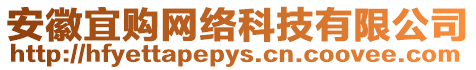 安徽宜購網絡科技有限公司