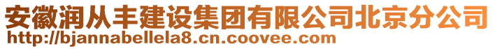安徽潤(rùn)從豐建設(shè)集團(tuán)有限公司北京分公司