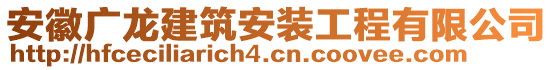 安徽廣龍建筑安裝工程有限公司